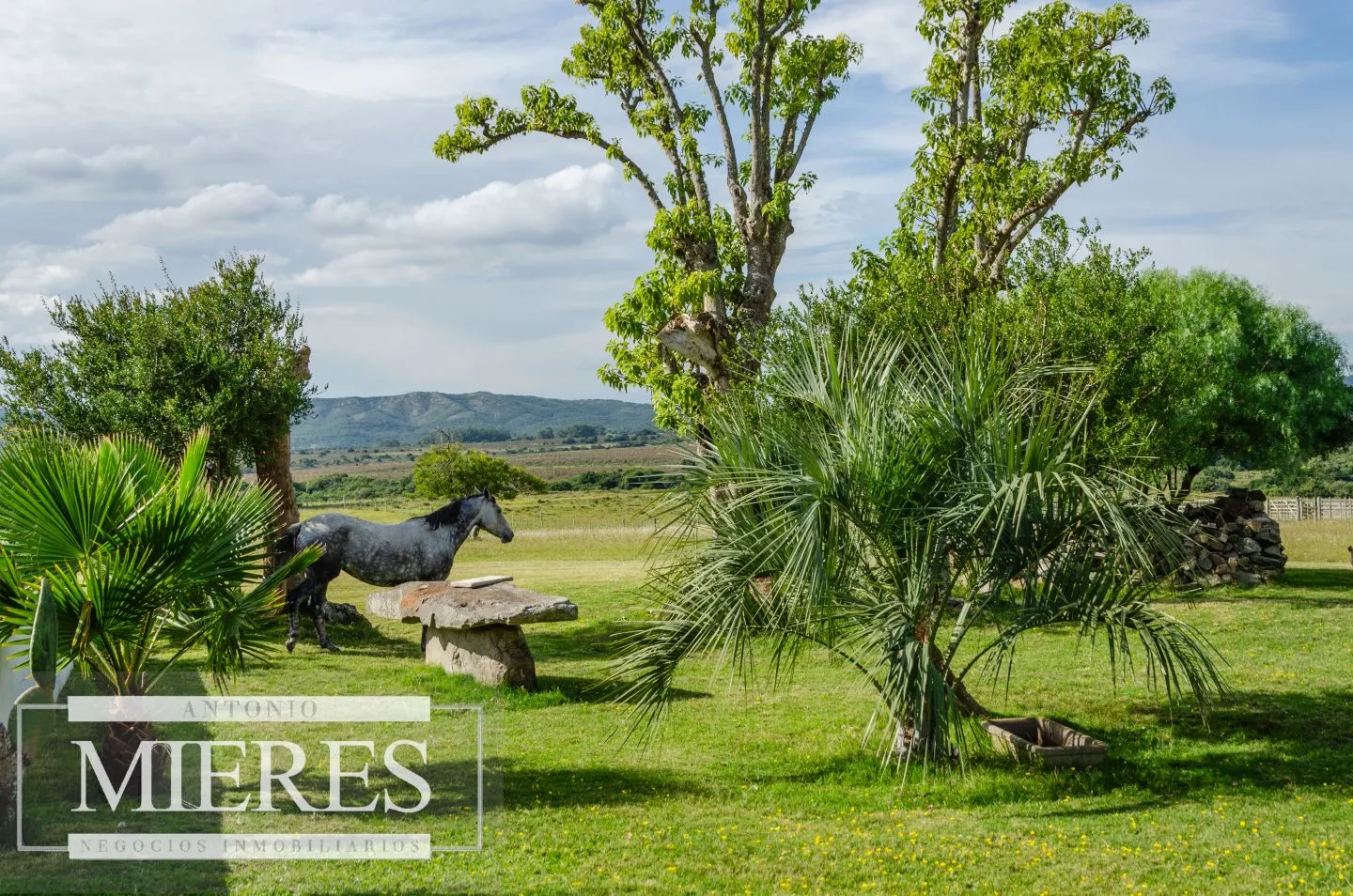 Campo en venta de 103 ha con casa reciclada Lavalleja. — foto 23