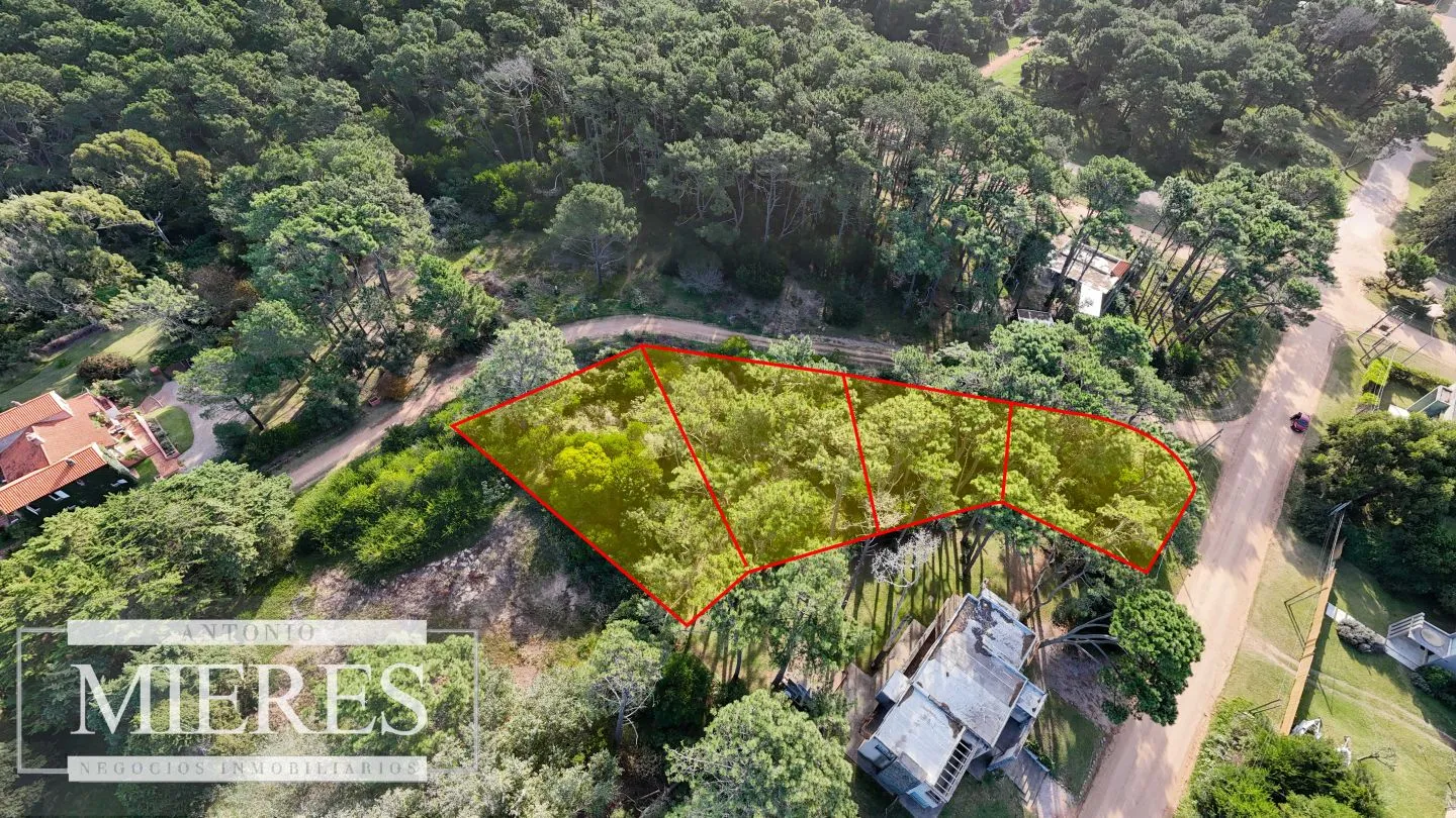 Venta 4 padrones juntos- Rincón del Indio — foto 15