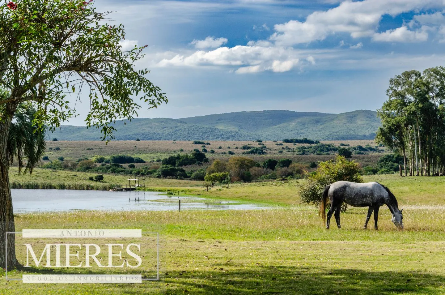 Campo en venta de 103 ha con casa reciclada Lavalleja. — foto 24