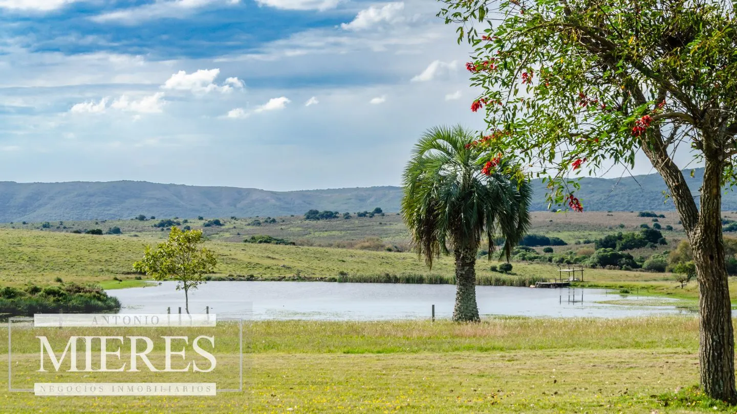 Campo en venta de 103 ha con casa reciclada Lavalleja. — foto 25