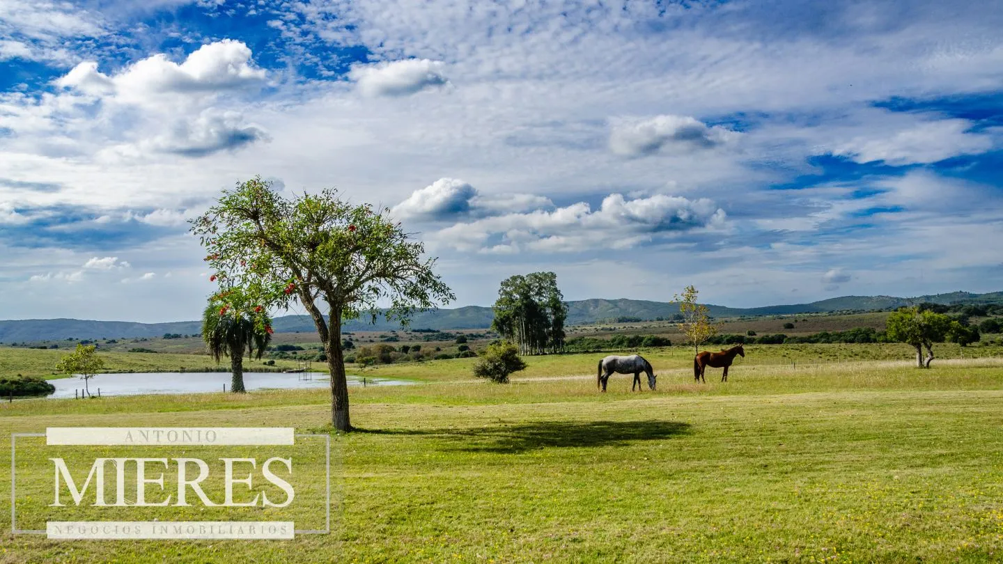 Campo en venta de 103 ha con casa reciclada Lavalleja. — foto 26