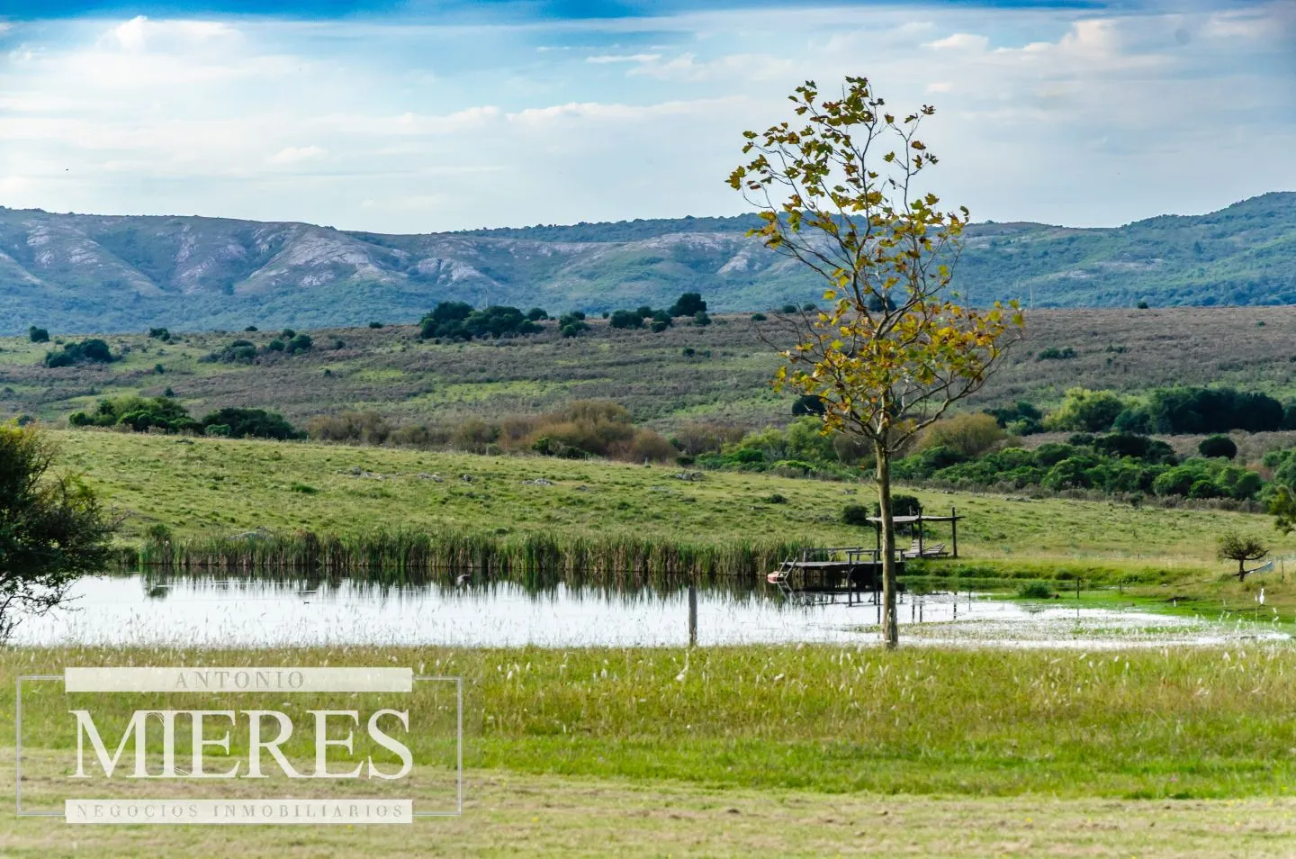 Campo en venta de 103 ha con casa reciclada Lavalleja. — foto 27