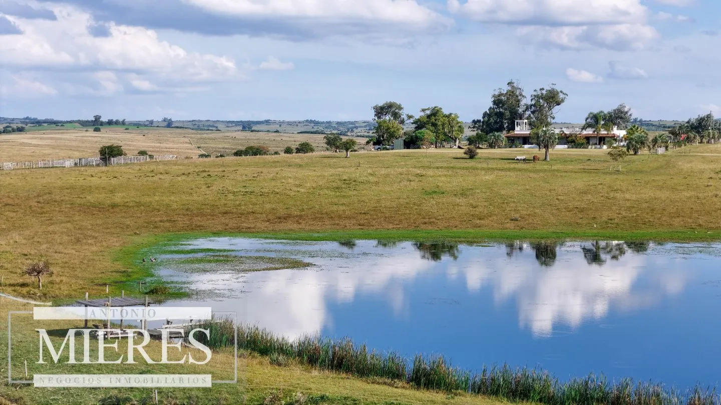 Campo en venta de 103 ha con casa reciclada Lavalleja. — foto 29