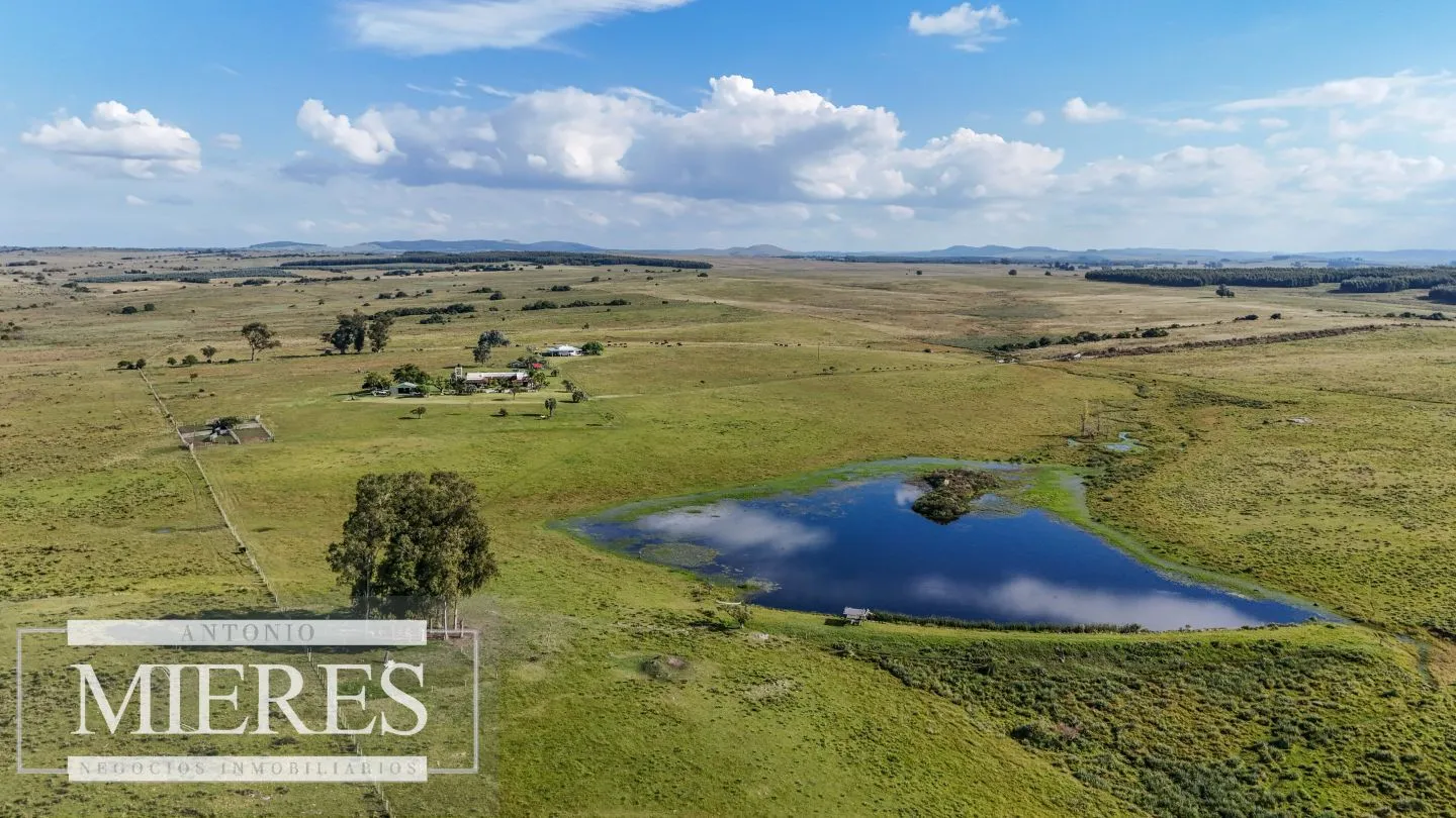Campo en venta de 103 ha con casa reciclada Lavalleja. — foto 30
