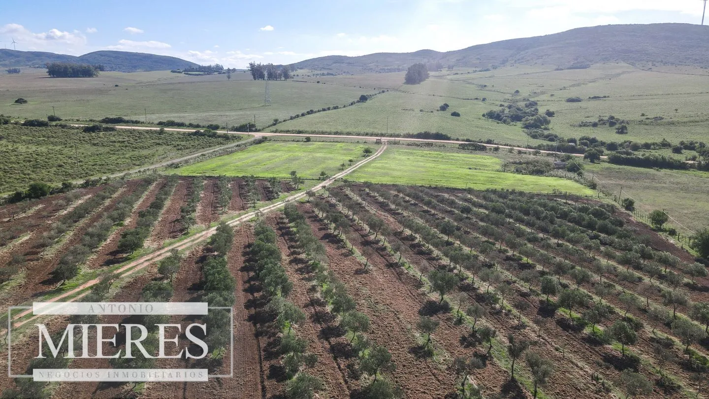 Chacra en venta de 13 ha en sierras Los Caracoles — foto 5