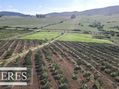 Chacra en venta de 13 ha en sierras Los Caracoles — foto 5