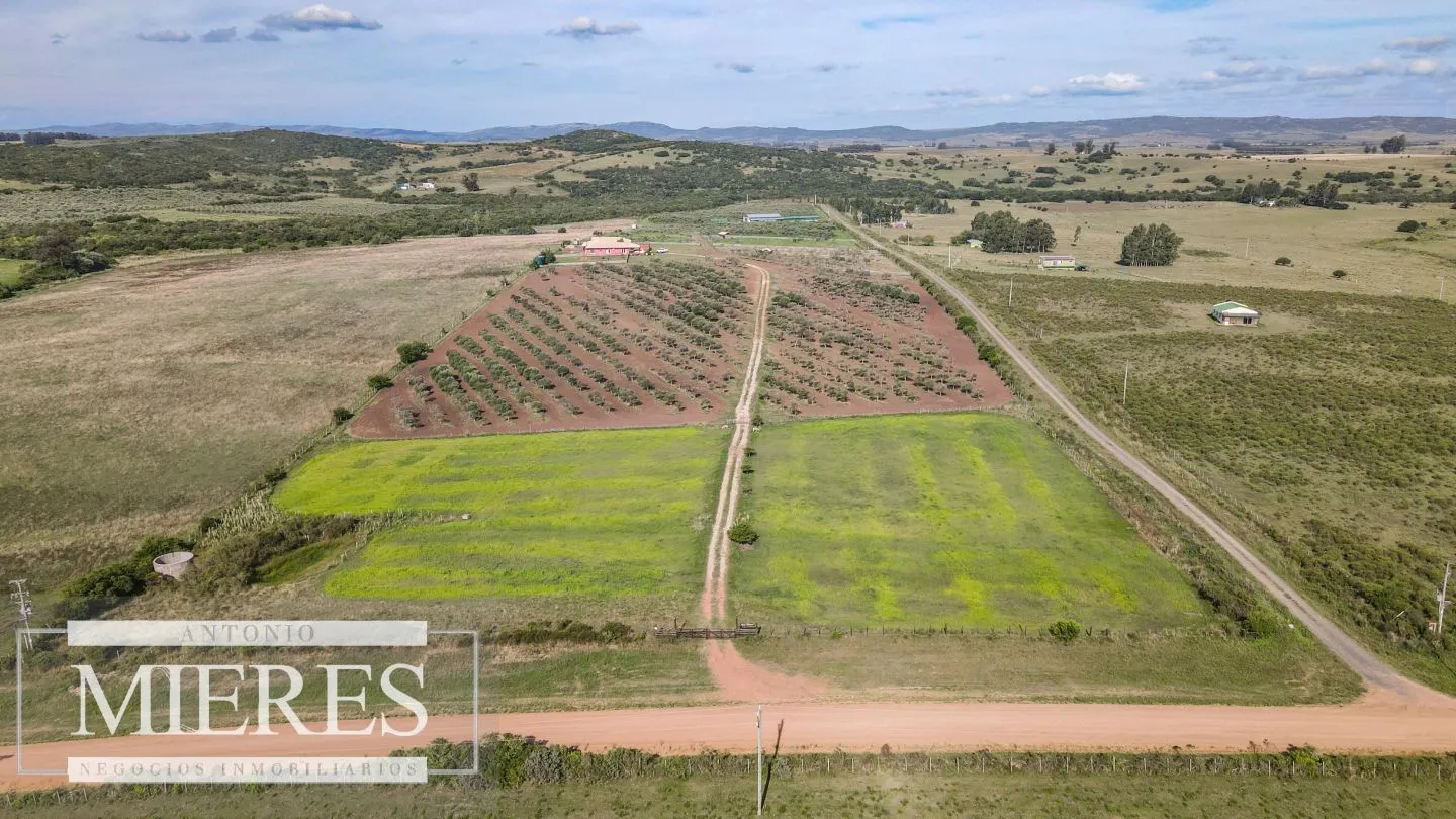 Chacra en venta de 13 ha en sierras Los Caracoles — foto 6