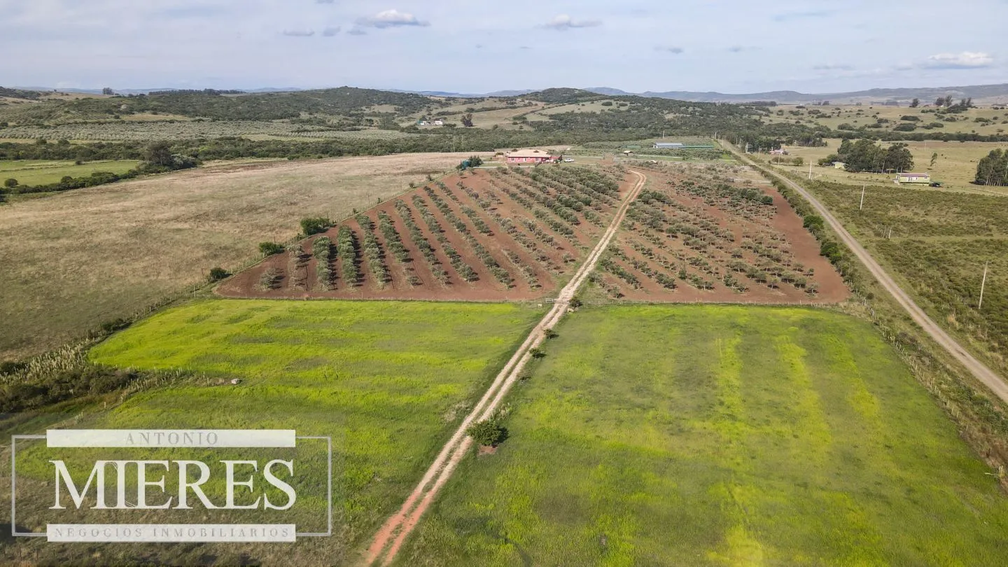 Chacra en venta de 13 ha en sierras Los Caracoles — foto 7