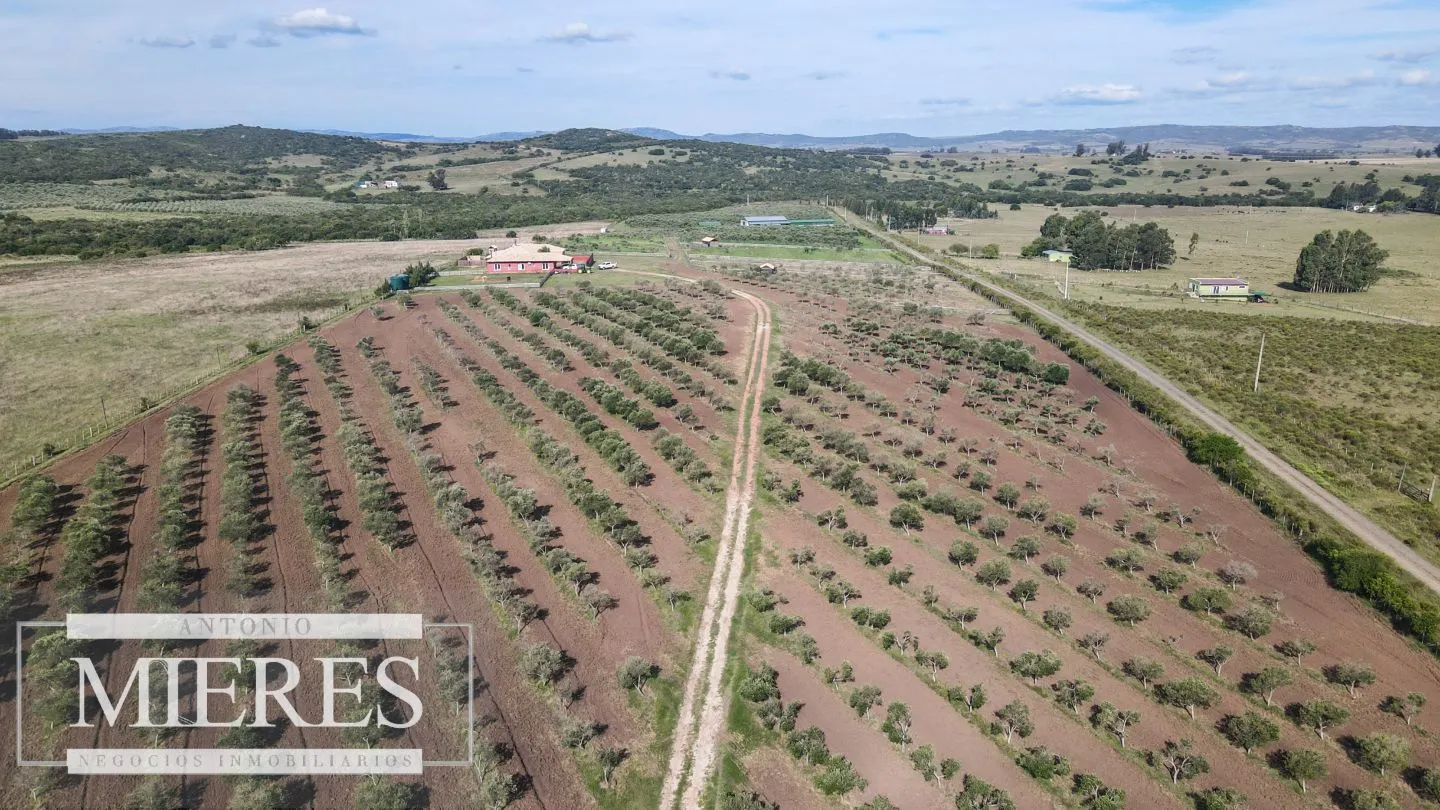 Chacra en venta de 13 ha en sierras Los Caracoles — foto 8