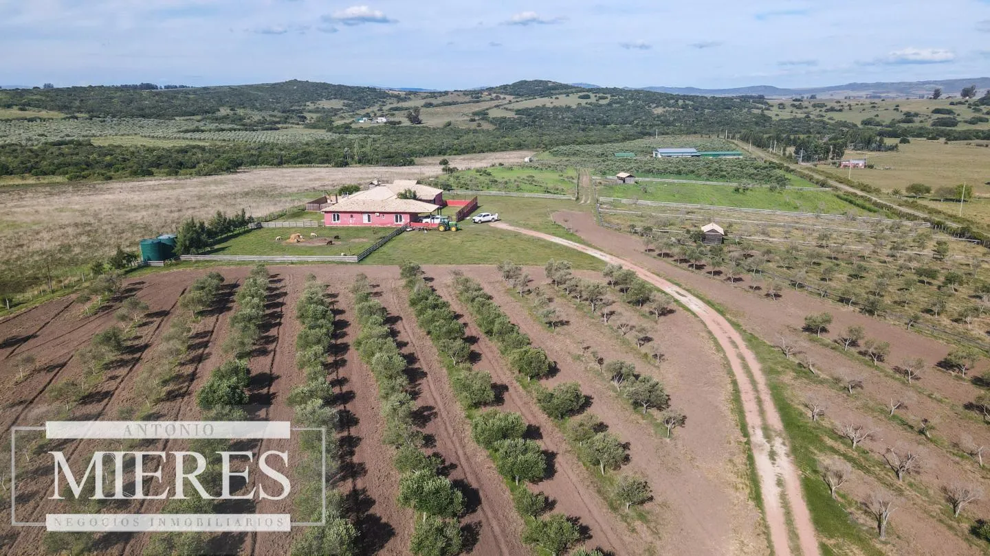 Chacra en venta de 13 ha en sierras Los Caracoles — foto 9