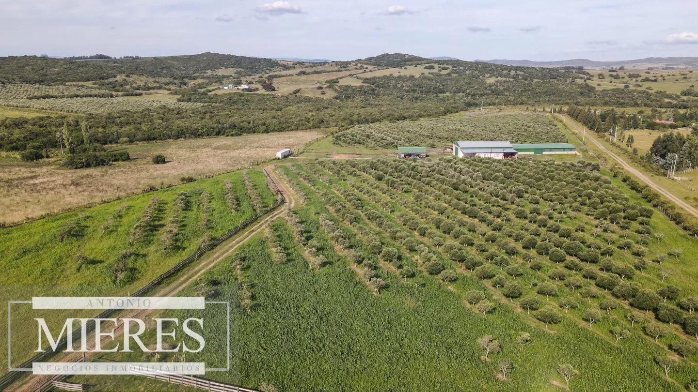 Chacra en venta de 13 ha en sierras Los Caracoles — foto 10