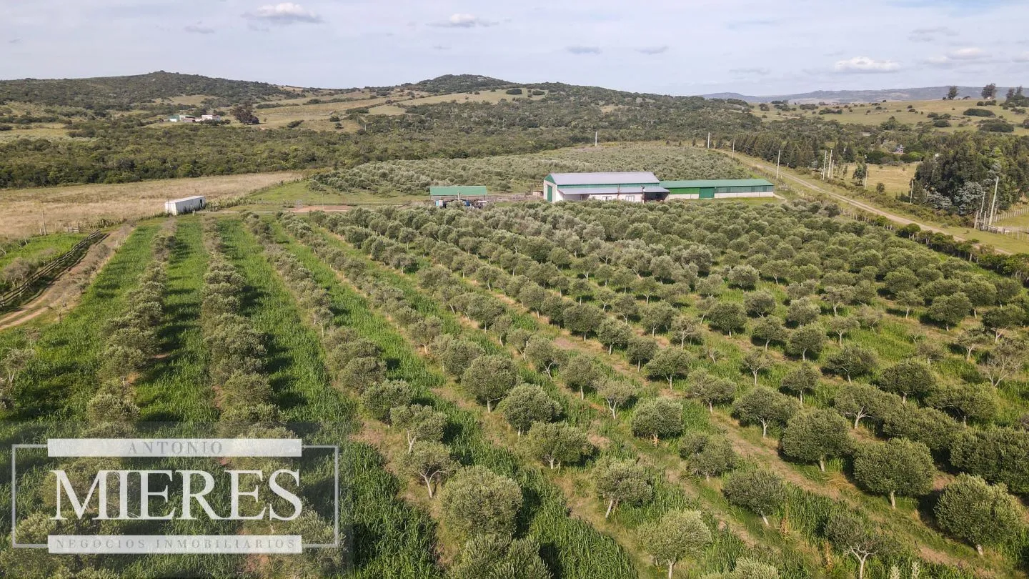 Chacra en venta de 13 ha en sierras Los Caracoles — foto 11