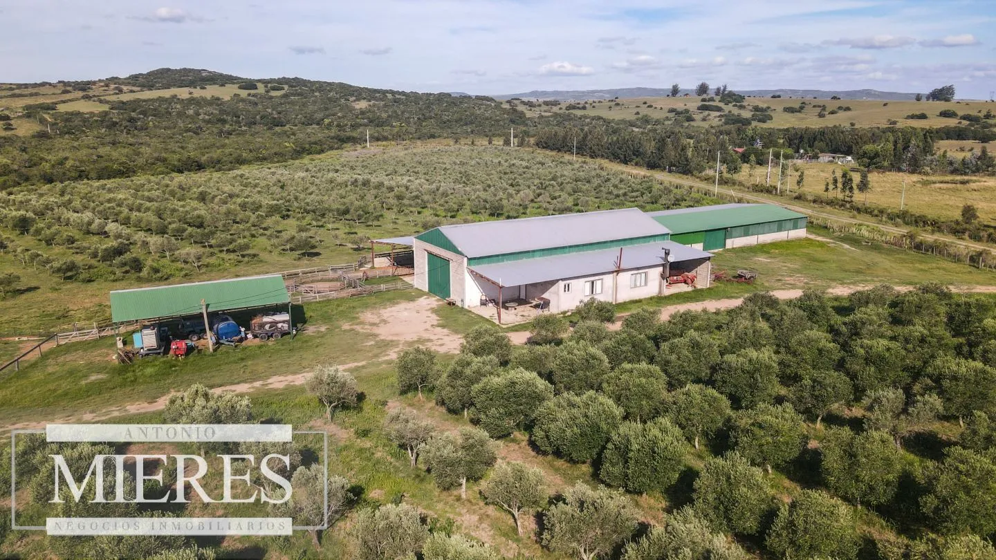 Chacra en venta de 13 ha en sierras Los Caracoles — foto 12