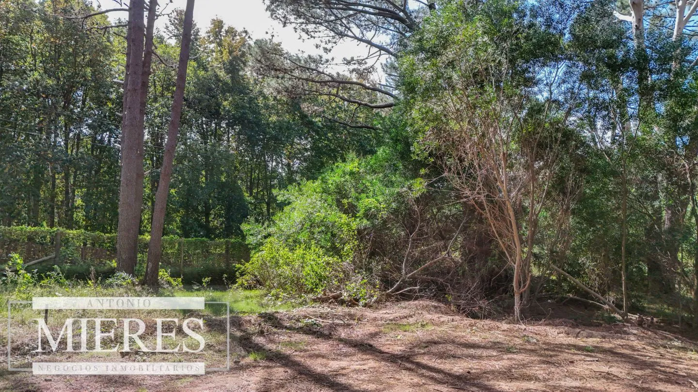 Venta lote en Reserva Montoya - La Barra — foto 3