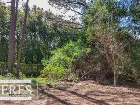 Venta lote en Reserva Montoya - La Barra — foto 3