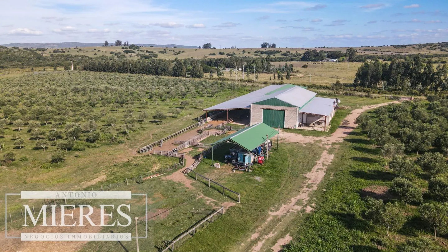 Chacra en venta de 13 ha en sierras Los Caracoles — foto 13
