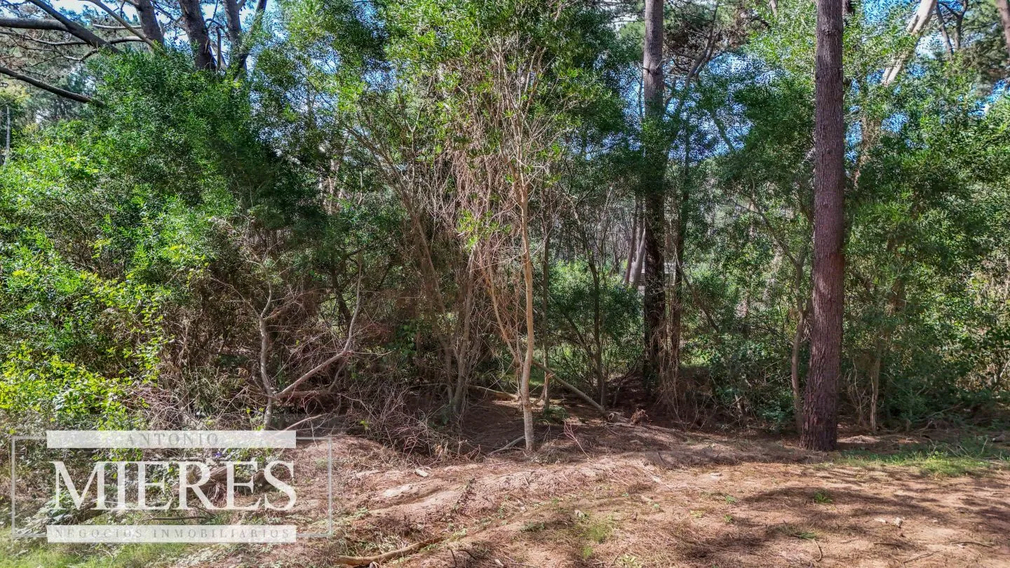 Venta lote en Reserva Montoya - La Barra — foto 4