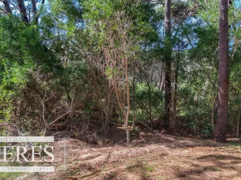 Venta lote en Reserva Montoya - La Barra — foto 4