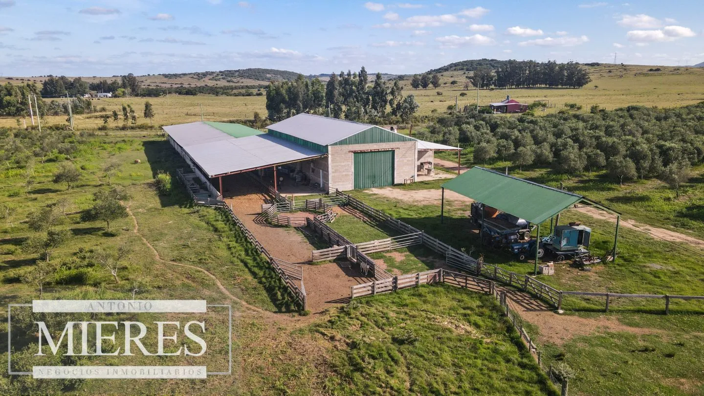 Chacra en venta de 13 ha en sierras Los Caracoles — foto 14