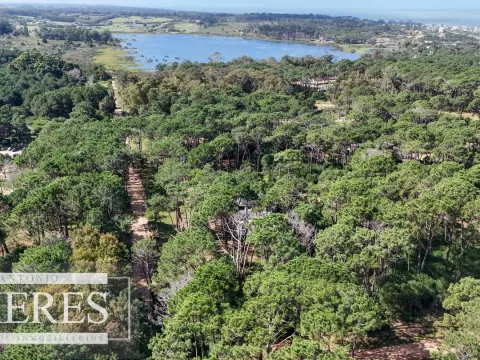 Venta lote en Reserva Montoya - La Barra — foto 5
