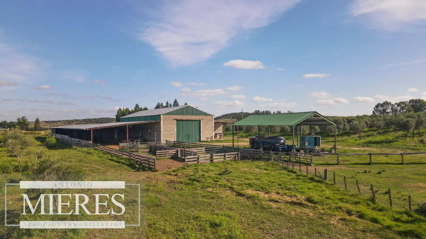 Chacra en venta de 13 ha en sierras Los Caracoles — foto 15
