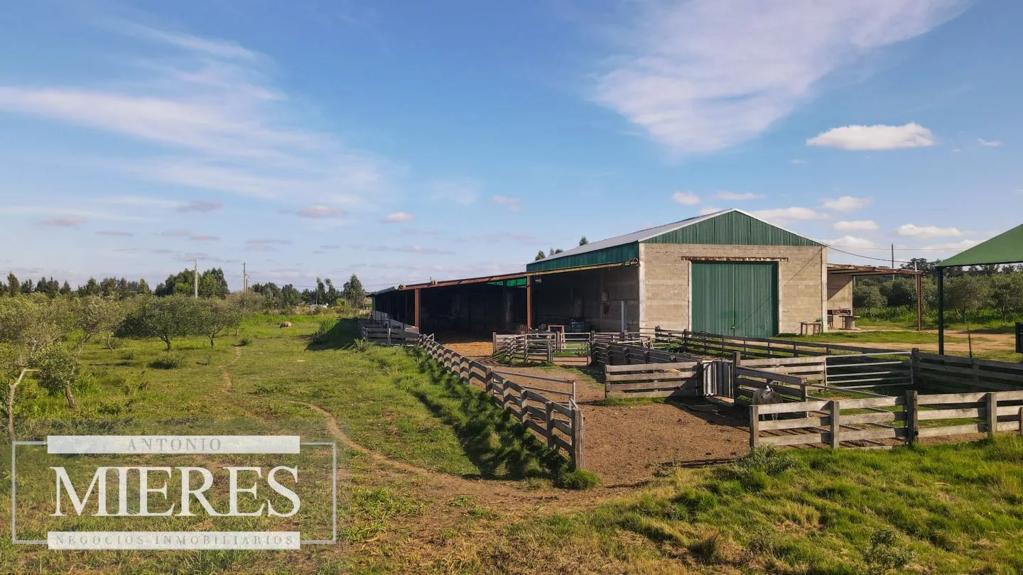 Chacra en venta de 13 ha en sierras Los Caracoles — foto 16