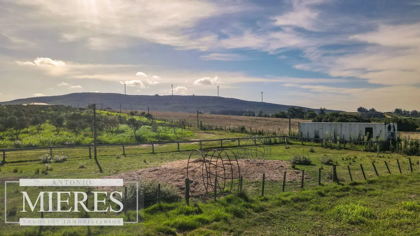 Chacra en venta de 13 ha en sierras Los Caracoles — foto 17