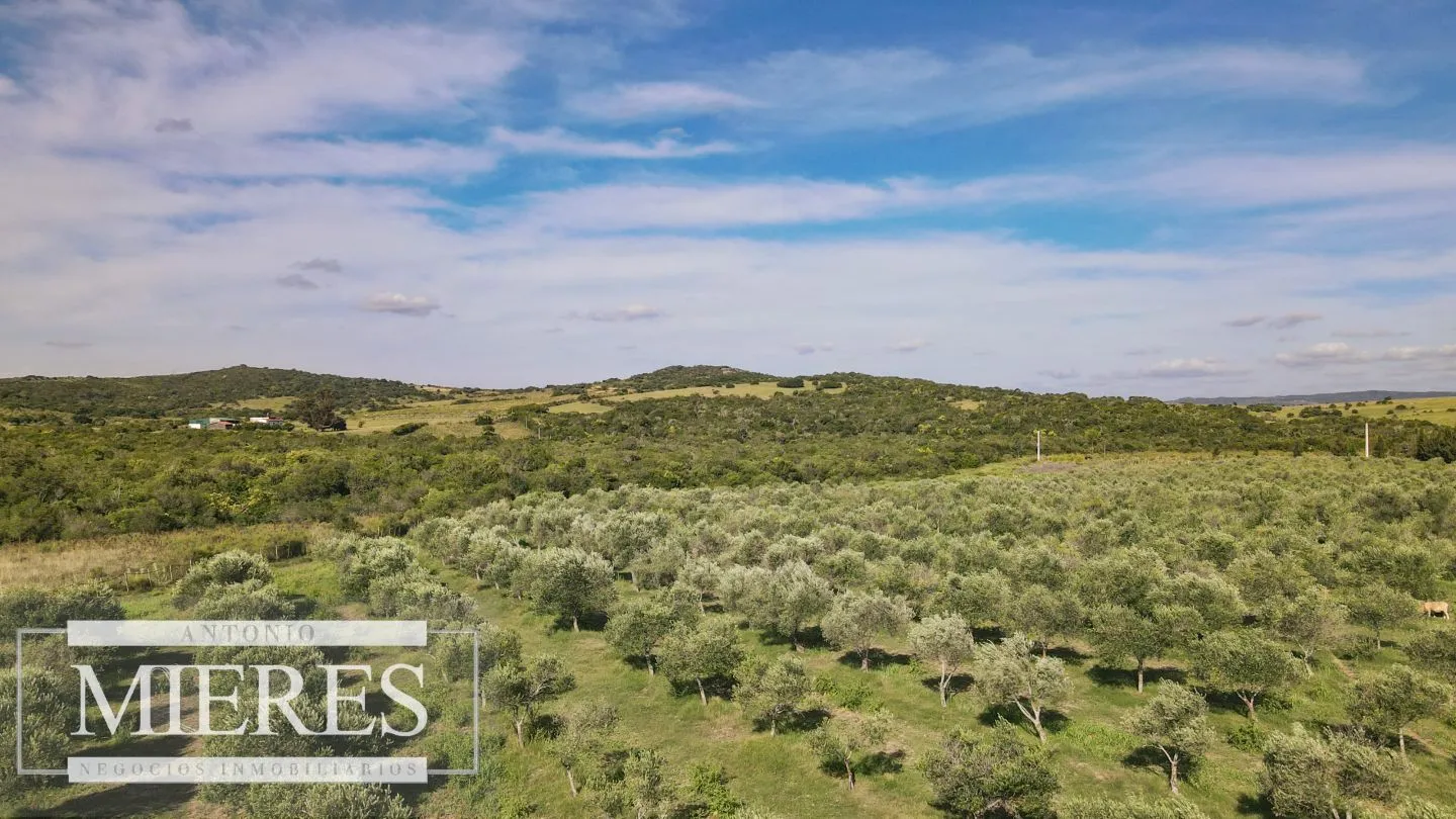 Chacra en venta de 13 ha en sierras Los Caracoles — foto 18