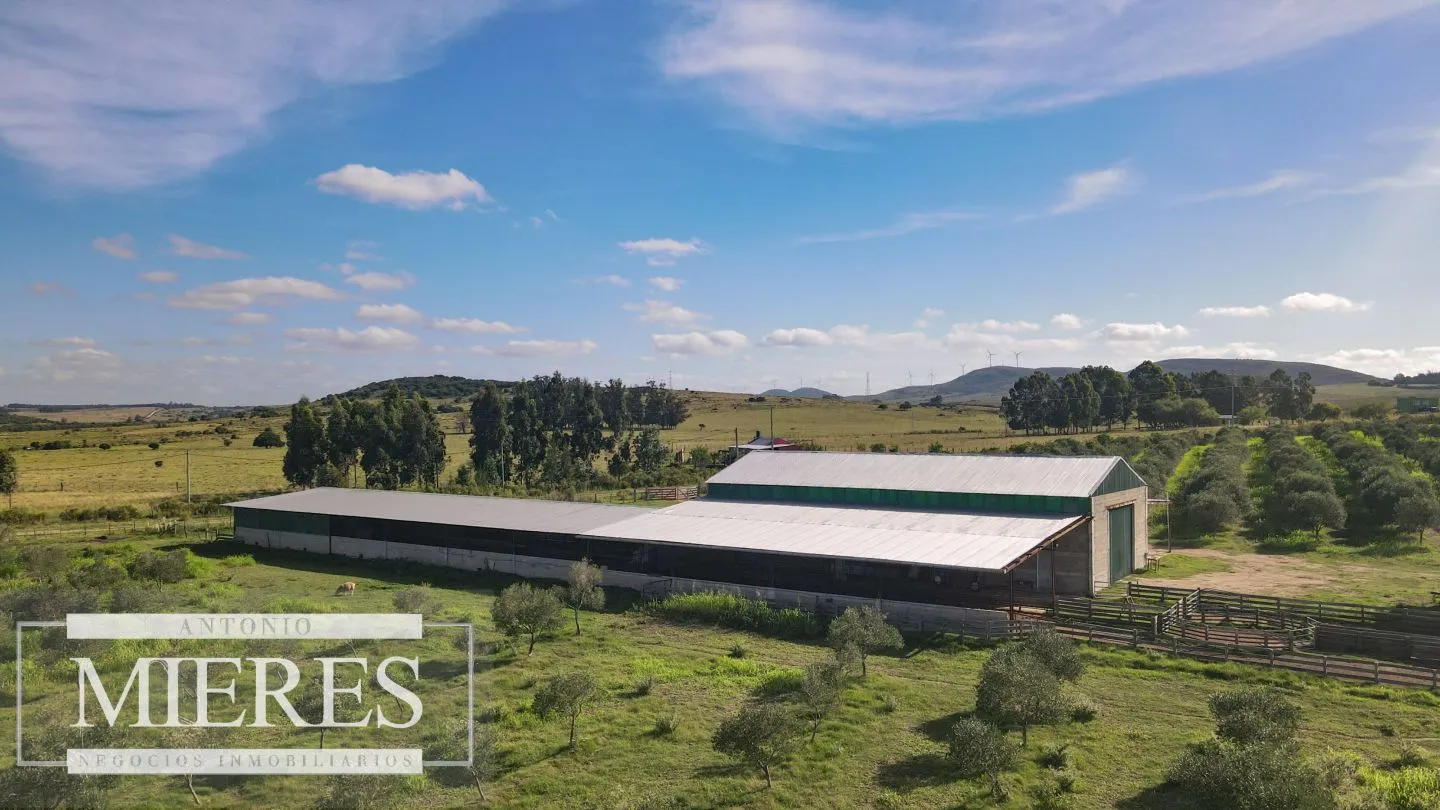 Chacra en venta de 13 ha en sierras Los Caracoles — foto 19