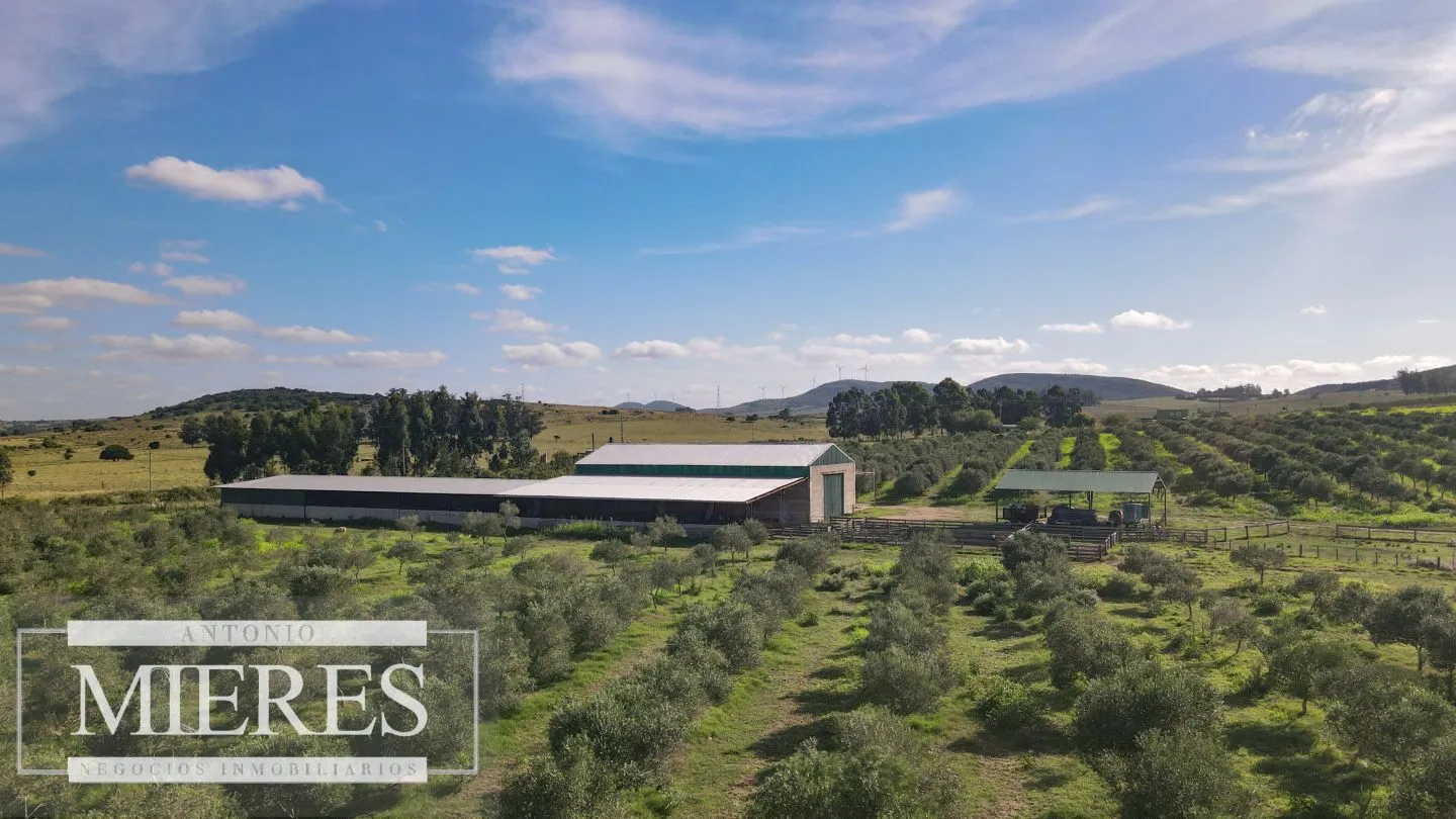 Chacra en venta de 13 ha en sierras Los Caracoles — foto 20