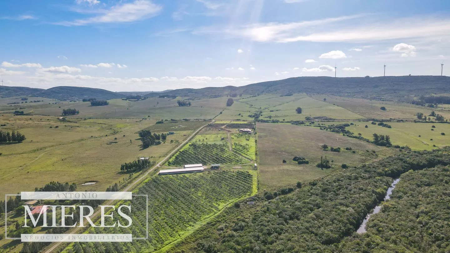 Chacra en venta de 13 ha en sierras Los Caracoles — foto 21