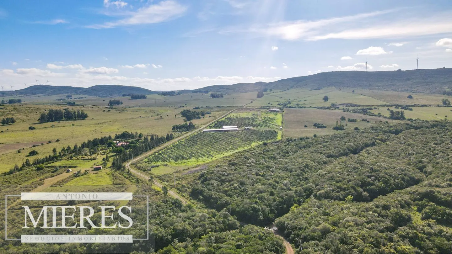Chacra en venta de 13 ha en sierras Los Caracoles — foto 22