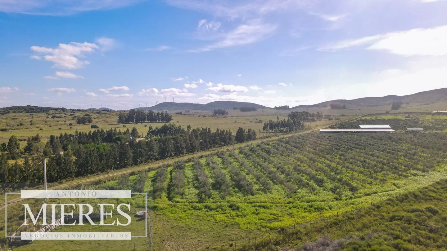Chacra en venta de 13 ha en sierras Los Caracoles — foto 23