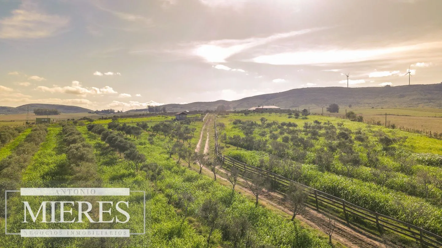 Chacra en venta de 13 ha en sierras Los Caracoles — foto 24
