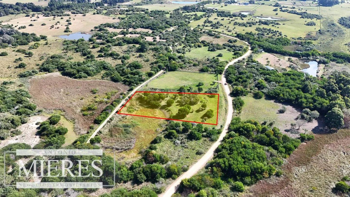 Venta de terrenos 4000m2 en zona de chacras, Jose Ignacio — foto 1