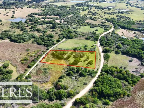 Venta de terrenos 4000m2 en zona de chacras, Jose Ignacio