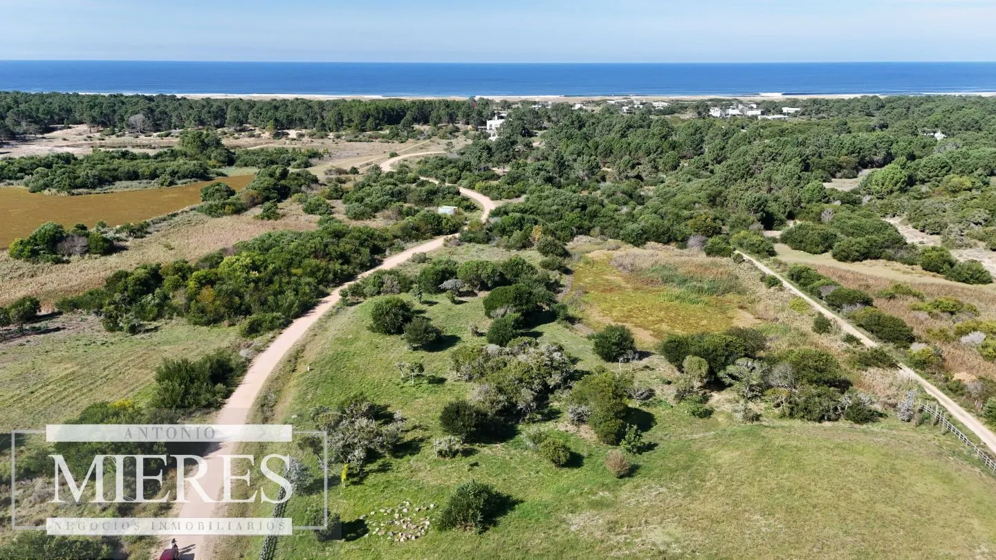Venta de terrenos 4000m2 en zona de chacras, Jose Ignacio — foto 2
