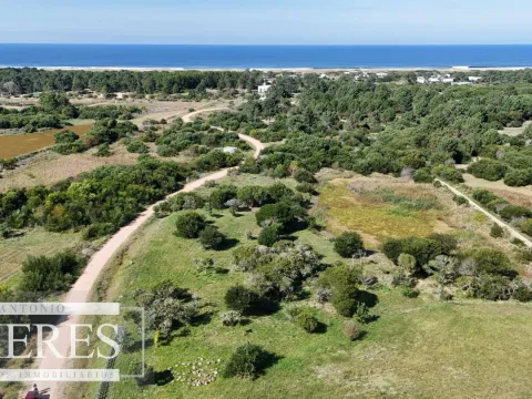 Venta de terrenos 4000m2 en zona de chacras, Jose Ignacio — foto 2