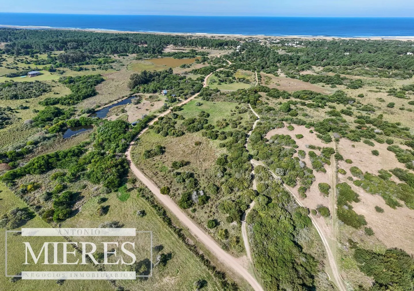 Venta de terrenos 4000m2 en zona de chacras, Jose Ignacio — foto 3