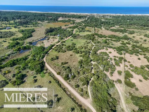Venta de terrenos 4000m2 en zona de chacras, Jose Ignacio — foto 3