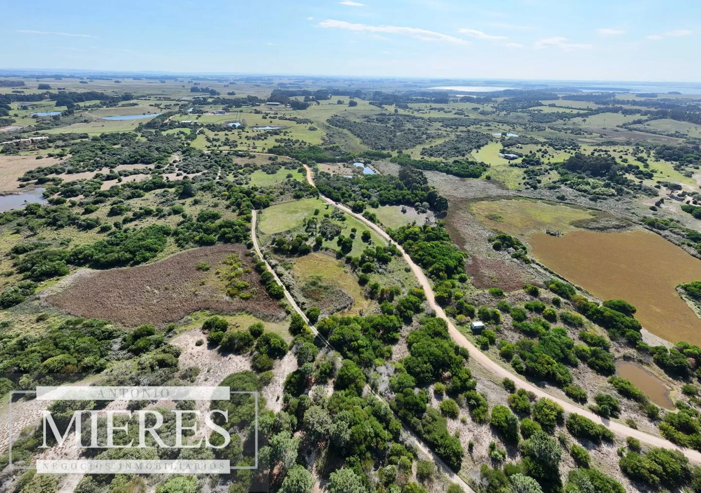 Venta de terrenos 4000m2 en zona de chacras, Jose Ignacio — foto 4
