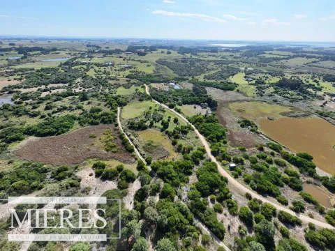 Venta de terrenos 4000m2 en zona de chacras, Jose Ignacio — foto 4