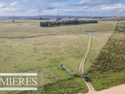 Campo de 50ha Ganadero, ubicado a 30 km de José Ignacio — foto 2