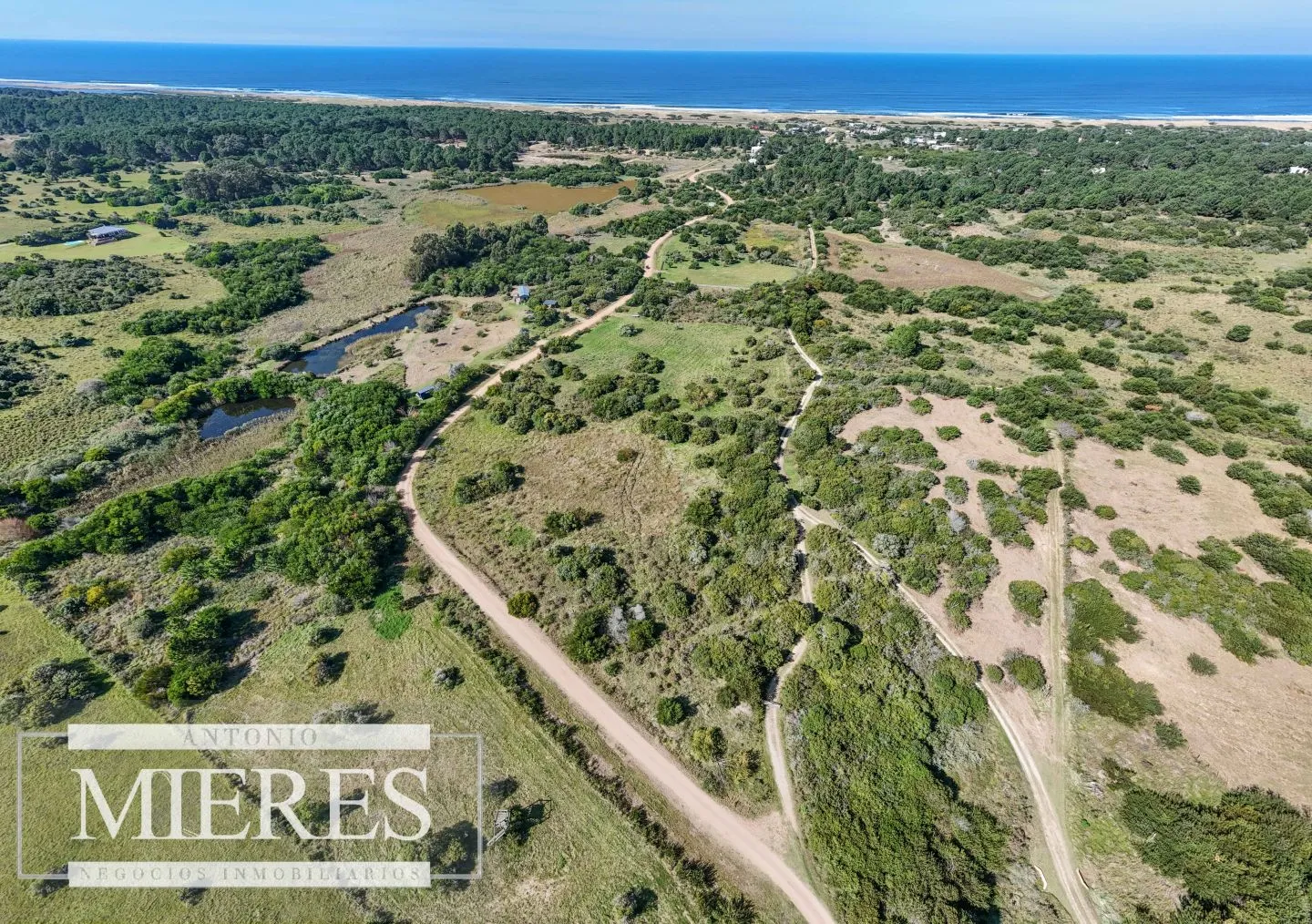 Venta de terrenos 4000m2 en zona de chacras, Jose Ignacio — foto 5