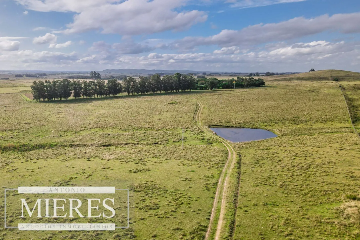 Campo de 50ha Ganadero, ubicado a 30 km de José Ignacio — foto 3