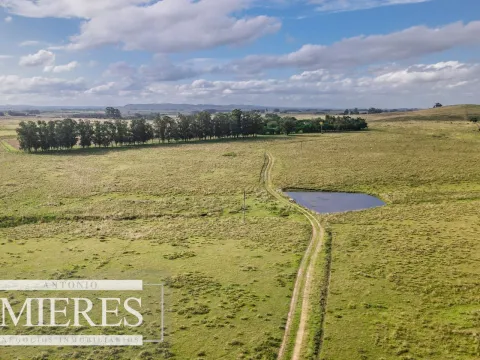 Campo de 50ha Ganadero, ubicado a 30 km de José Ignacio — foto 3