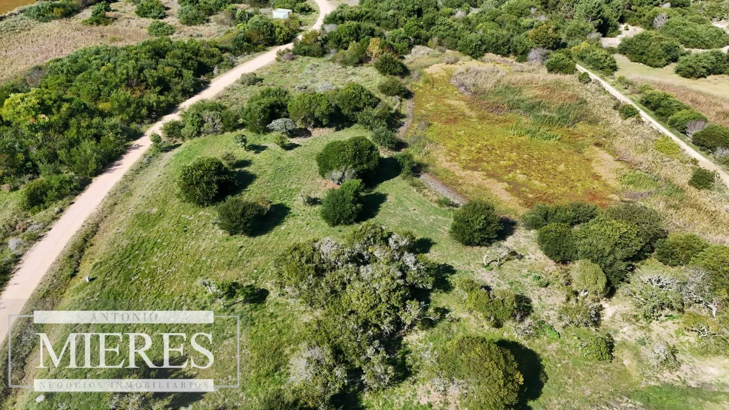 Venta de terrenos 4000m2 en zona de chacras, Jose Ignacio — foto 6