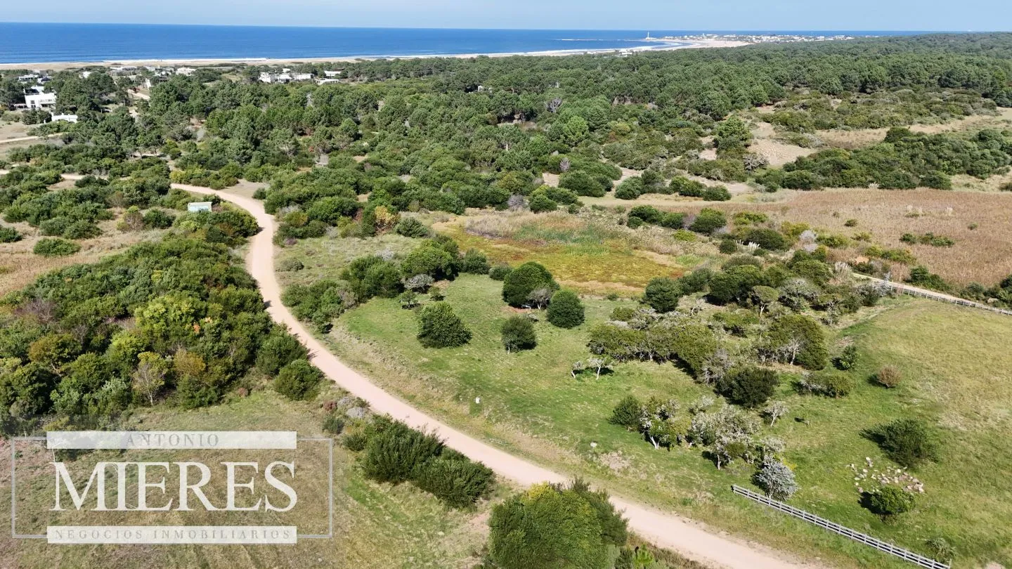 Venta de terrenos 4000m2 en zona de chacras, Jose Ignacio — foto 7