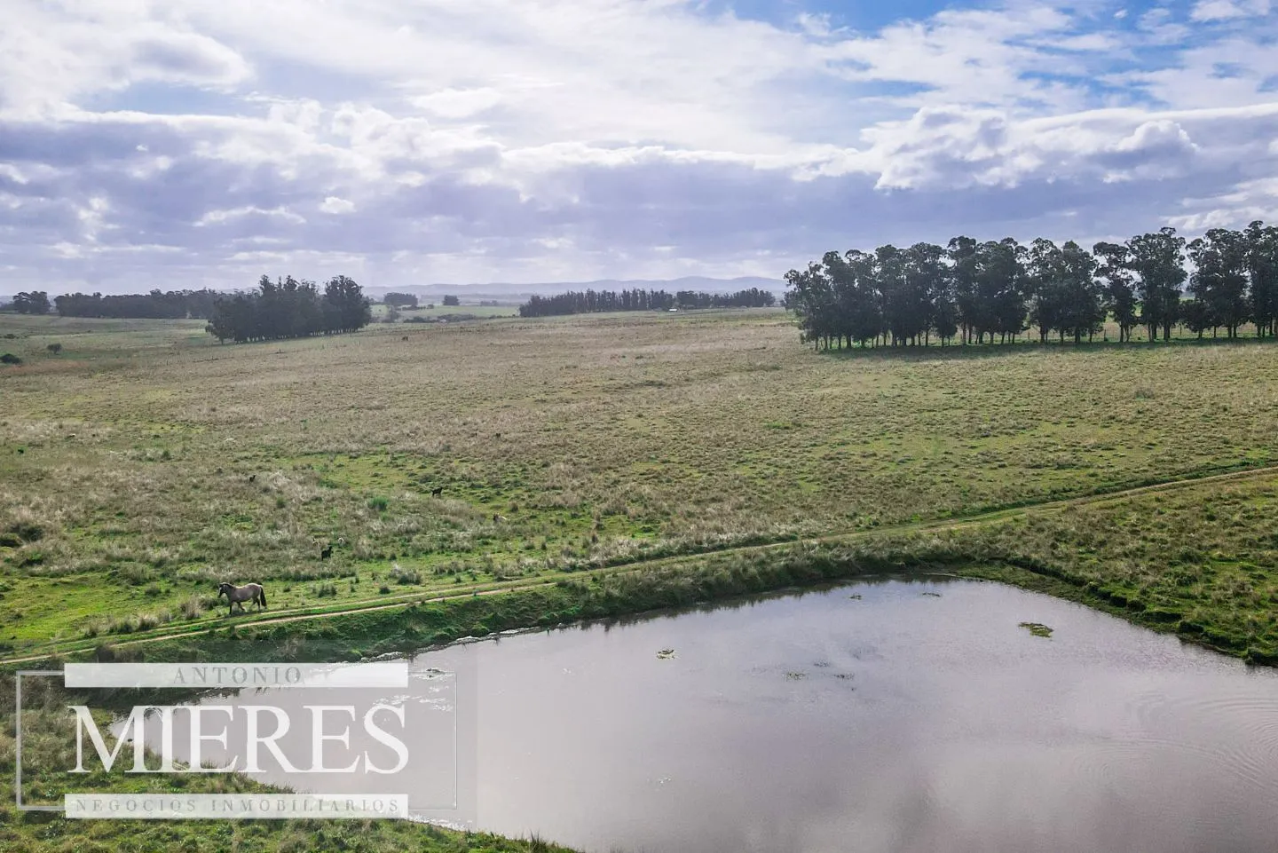Campo de 50ha Ganadero, ubicado a 30 km de José Ignacio — foto 4
