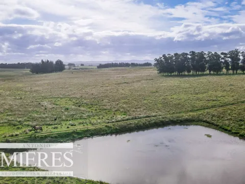 Campo de 50ha Ganadero, ubicado a 30 km de José Ignacio — foto 4